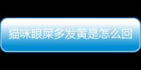 貓咪眼屎多發黃是怎么回事(貓咪眼屎多褐色分泌物怎么回事)