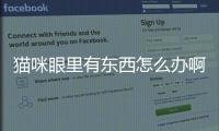 貓咪眼里有東西怎么辦啊？貓咪眼睛里有異物怎么弄出來
