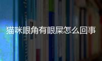 貓咪眼角有眼屎怎么回事？貓咪眼角有眼屎正常嗎