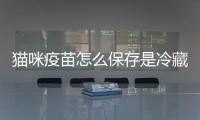 貓咪疫苗怎么保存是冷藏還是冷凍?(貓咪疫苗怎么保存 會不會變質)