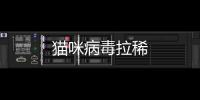 貓咪病毒拉稀