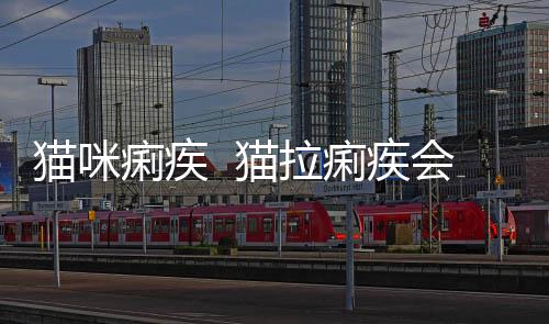 貓咪痢疾  貓拉痢疾會傳染嗎