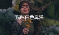 貓咪白色鼻涕