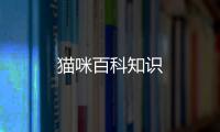 貓咪百科知識
