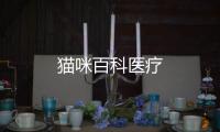 貓咪百科醫療