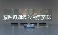 貓咪癲嫻怎么治療(貓咪腸胃炎治療費用)