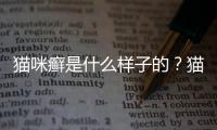 貓咪癬是什么樣子的？貓咪貓蘚的樣子