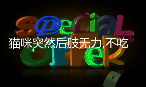 貓咪突然后肢無力,不吃東西(貓咪后肢無力走路搖晃)