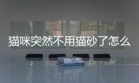 貓咪突然不用貓砂了怎么辦(貓咪不用貓砂了怎么辦)