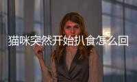 貓咪突然開始扒食怎么回事？貓咪突然開始扒食了