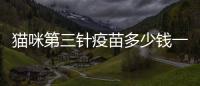 貓咪第三針疫苗多少錢一針(貓咪三針疫苗多少錢一共)