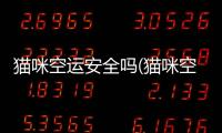 貓咪空運安全嗎(貓咪空運需要什么手續)