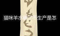 貓咪羊水破了不生產是怎么回事？貓咪羊水破了不生然后去睡覺了