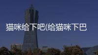 貓咪給下吧(給貓咪下巴涂藥小妙招)