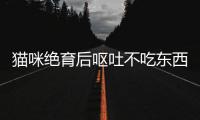 貓咪絕育后嘔吐不吃東西怎么辦？貓咪絕育后嘔吐不吃東西沒精神