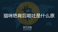貓咪絕育后嘔吐是什么原因(貓咪絕育一般多少錢)