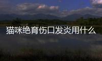 貓咪絕育傷口發(fā)炎用什么藥(貓咪絕育后傷口感染了怎么辦)