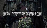 貓咪絕育完吃東西吐(貓咪絕育完吃東西嘔吐)