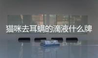 貓咪去耳螨的滴液什么牌子的好用(貓咪去耳螨的藥怎么用)
