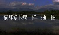 貓咪像卡痰一樣一抽一抽的(兒童感冒咳嗽吃什么藥效果好)