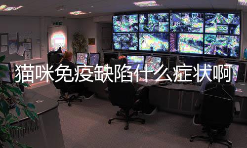 貓咪免疫缺陷什么癥狀啊？貓的免疫缺陷