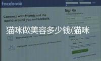 貓咪做美容多少錢(貓咪美容造型)