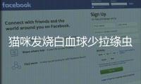 貓咪發(fā)燒白血球少拉絳蟲是什么病癥(貓咪發(fā)燒白細(xì)胞高是怎么了)