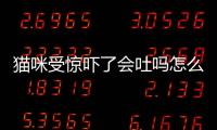 貓咪受驚嚇了會吐嗎怎么辦？貓咪驚嚇過度會吐血嗎