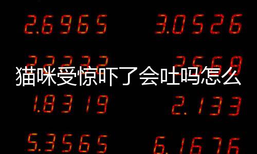 貓咪受驚嚇了會吐嗎怎么辦？貓咪驚嚇過度會吐血嗎