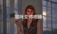 貓咪變得嗜睡