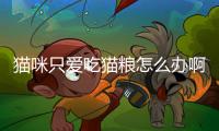 貓咪只愛吃貓糧怎么辦??？貓只愛吃貓糧其他的都不愛吃