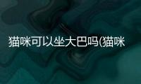 貓咪可以坐大巴嗎(貓咪可以坐長途大巴嗎)