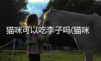貓咪可以吃李子嗎(貓咪吃了李子怎么辦)