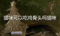 貓咪可以吃雞骨頭嗎貓咪吃了雞骨頭怎么辦(貓咪十大禁忌食物)
