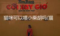 貓咪可以喂小柴胡嗎(貓咪可以喝小柴胡嗎)