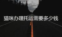 貓咪辦理托運需要多少錢(貓咪辦理托運需要什么)