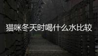 貓咪冬天時喝什么水比較好？貓貓冬天喝什么水