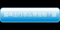 貓咪出行怎么帶寵物？貓咪出門怎么帶