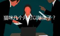 貓咪幾個(gè)月可以除蟲(chóng)子？貓咪幾個(gè)月除蟲(chóng)一次