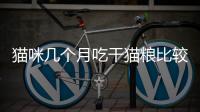 貓咪幾個月吃干貓糧比較好？貓咪幾個月開始吃干貓糧