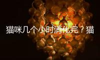 貓咪幾個(gè)小時(shí)消化完？貓咪幾個(gè)小時(shí)消化食物