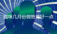 貓咪幾月份做絕育好一點？貓咪幾月份絕育比較好