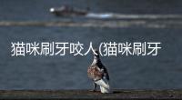 貓咪刷牙咬人(貓咪刷牙用什么牙膏好)