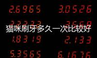 貓咪刷牙多久一次比較好(貓咪刷牙用什么牙膏好)