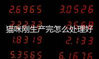 貓咪剛生產(chǎn)完怎么處理好？貓咪剛生產(chǎn)完怎么處理毛發(fā)