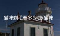貓咪剃毛要多少錢(貓咪剃腳毛好不好)