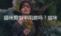 貓咪剪指甲用磨嗎？貓咪剪指甲用磨指甲嗎