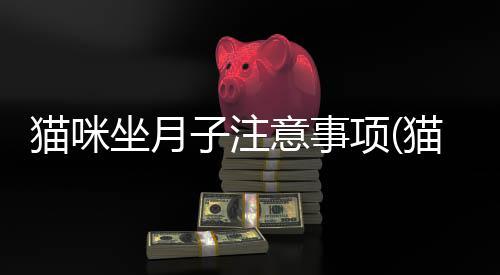 貓咪坐月子注意事項(貓咪坐車注意事項)