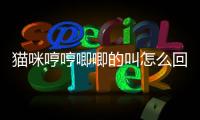 貓咪哼哼唧唧的叫怎么回事？貓咪哼哼唧唧啥意思