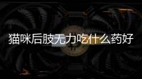貓咪后肢無力吃什么藥好？貓咪后肢無力吃什么藥最好